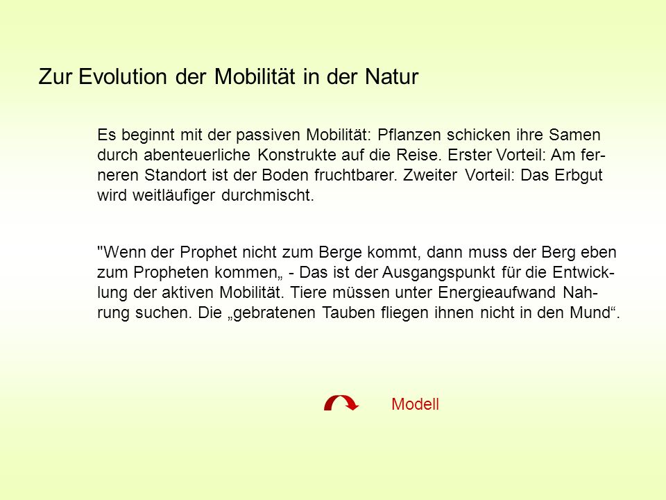 Der Rechner den Gas das Benzin